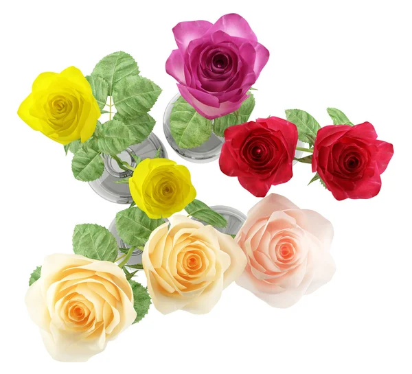 Ovansida av rosor i glas vaser isolerad på vit bakgrund — Stockfoto