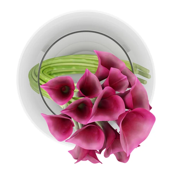 Top view of calla lilies in glass vase isolated on white backgro — Stock Photo, Image