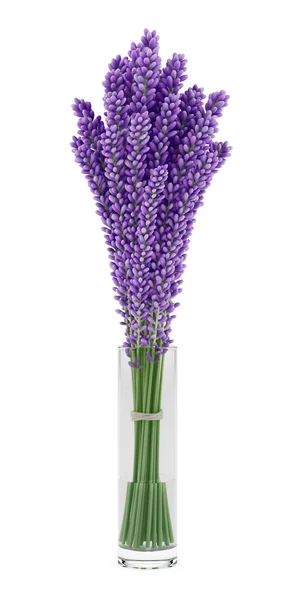 Purple lupine flowers in glass vase isolated on white background — Stock Photo, Image