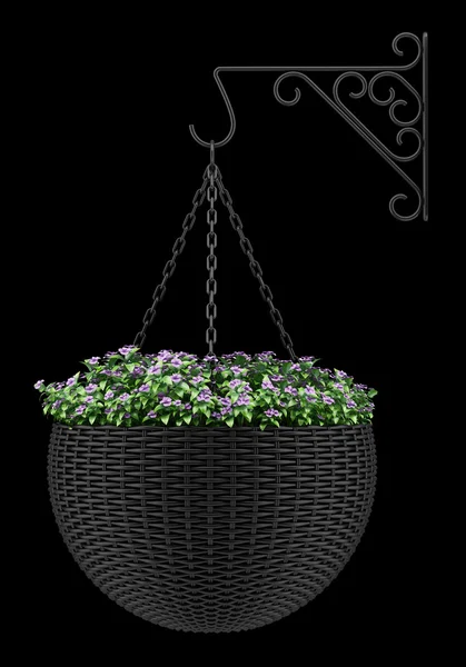 Flowers in wall hanging pot isolated on black background — Stock Photo, Image