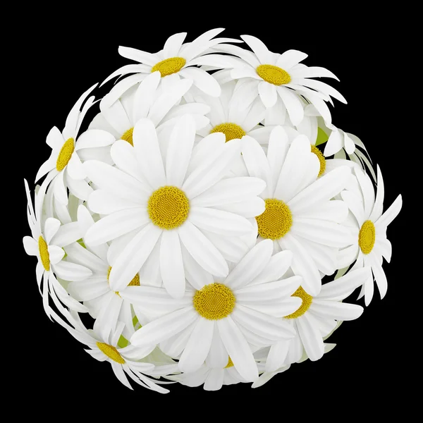 Top view of daisies in glass vases isolated on black background — Stock Photo, Image