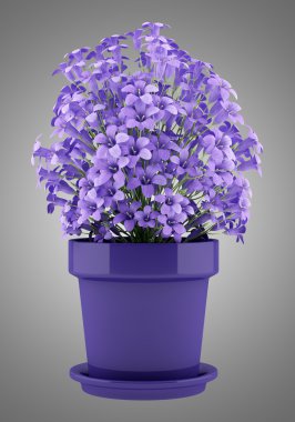 tencerede gri arka plan üzerinde izole mor çiçekler. 3D illustrati