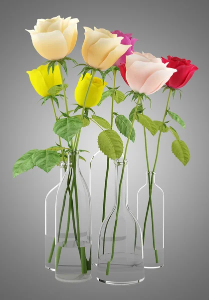 Roses in glass vases isolated on gray background — Stock Photo, Image