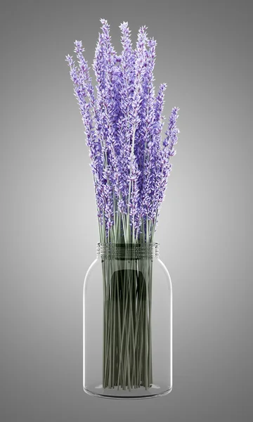 Purple lupine flowers in glass jar isolated on gray background — Stock Photo, Image