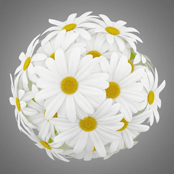 Top view of daisies in glass vases isolated on gray background — Stock Photo, Image