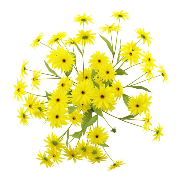 Top view of coneflowers in ceramic vase isolated on white backgr — Stock Photo, Image