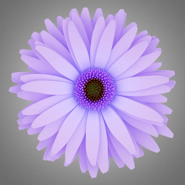 Widok z góry fioletowy kwiat na białym tle na szarym tle. 3D ilust — Zdjęcie stockowe