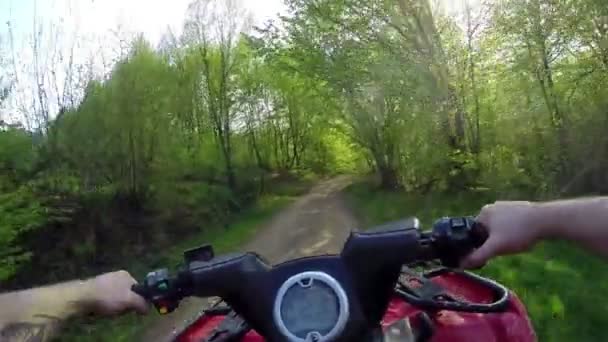 Jazda off-road góry Pov na Atv — Wideo stockowe