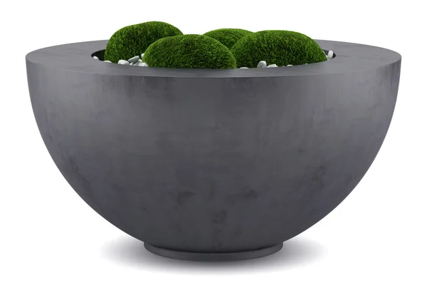 Moss pot isolated on white background — Stock Photo, Image