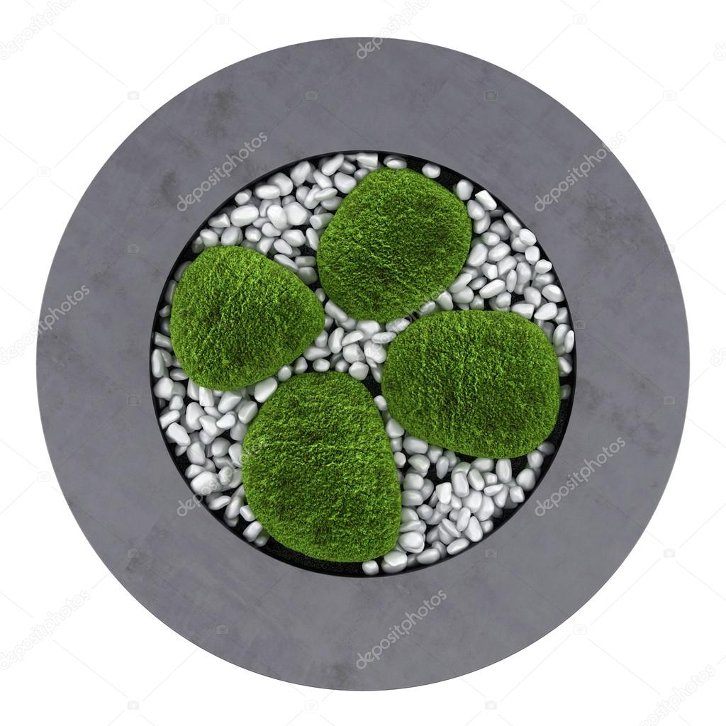 top view of moss pot isolated on white background