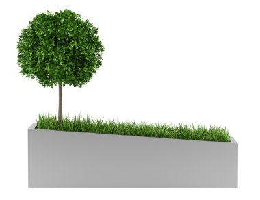 ağaç ve otların arasında beyaz arka plan üzerinde izole beton ekici