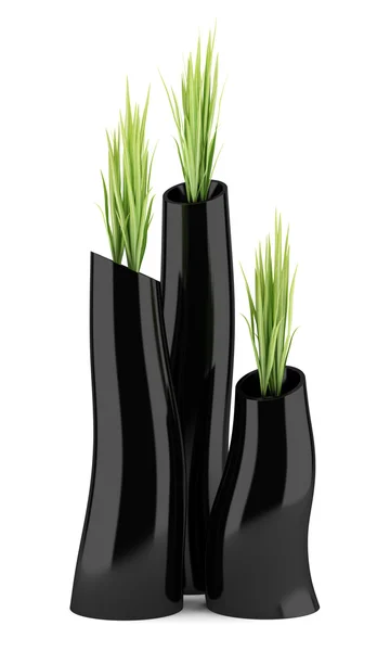 Three houseplants in black vases isolated on white background — Stock Photo, Image