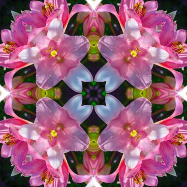 çiçek desenli, bir çiçek Dürbünü simüle