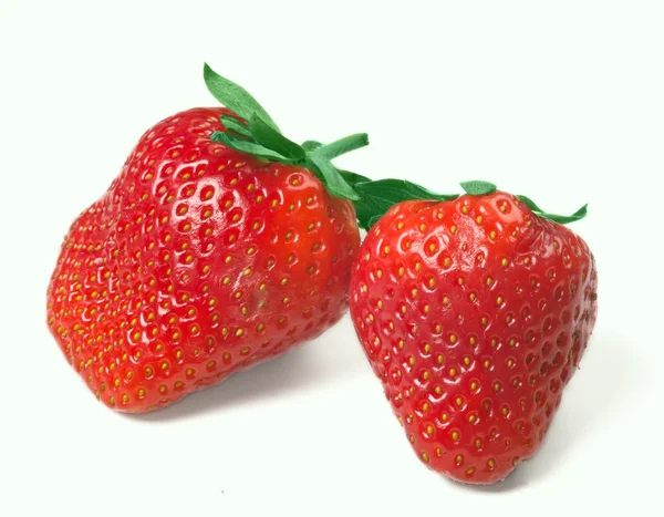 밝은 빨간 딸기 딸기 — 스톡 사진