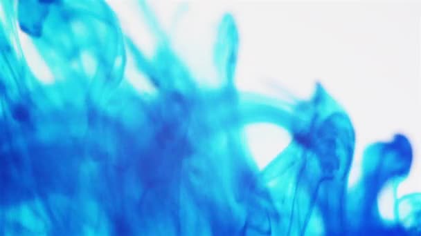 彩色油墨颗粒在水中流动 宏观射击 — 图库视频影像