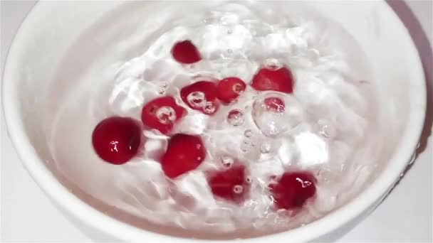 Bagas Cranberry Cair Uma Xícara Com Água Movimento Bagas Água — Vídeo de Stock