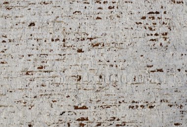 Eski bir tuğla duvarın parçası