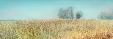 Eski bir eddish alanıyla