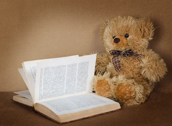Liten nallebjörn med boken — Stockfoto