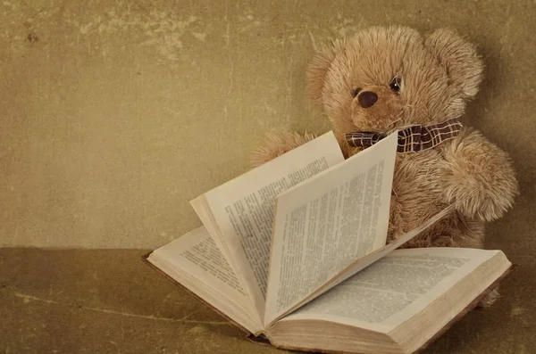 Urso de pelúcia pequeno com o livro — Fotografia de Stock