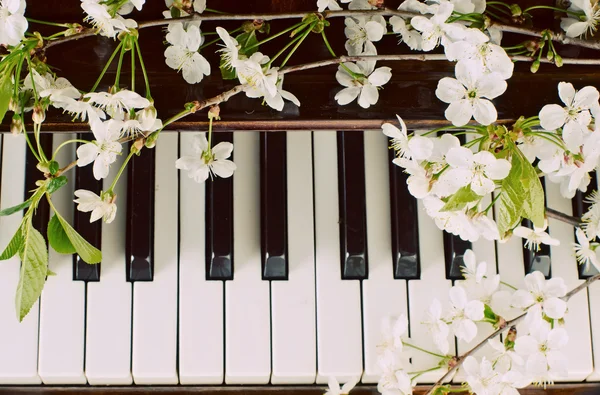 在钢琴上的朵朵樱桃 — 图库照片