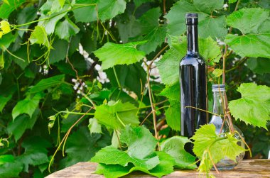bir üzüm bağı şişelerde