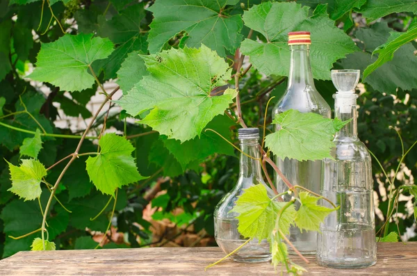 Пляшки в винограднику — стокове фото