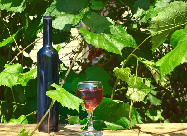 Пляшка і келих на винограднику — стокове фото