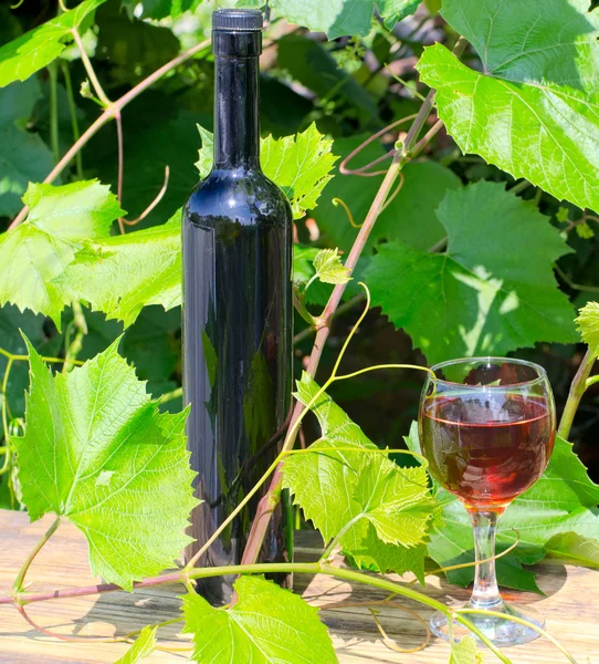 Пляшка і келих на винограднику — стокове фото