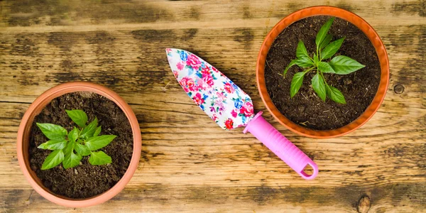 iki Çiçeklik ve bahçede Bahçe küreği