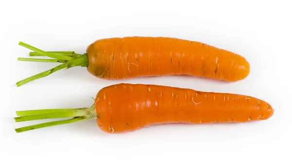 Two carrots — Stock Photo, Image