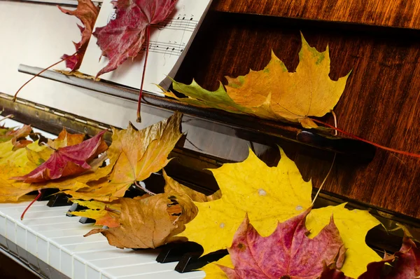 akçaağaç yaprakları bir piyanoda