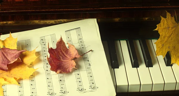 Folhas de bordo em um piano — Fotografia de Stock