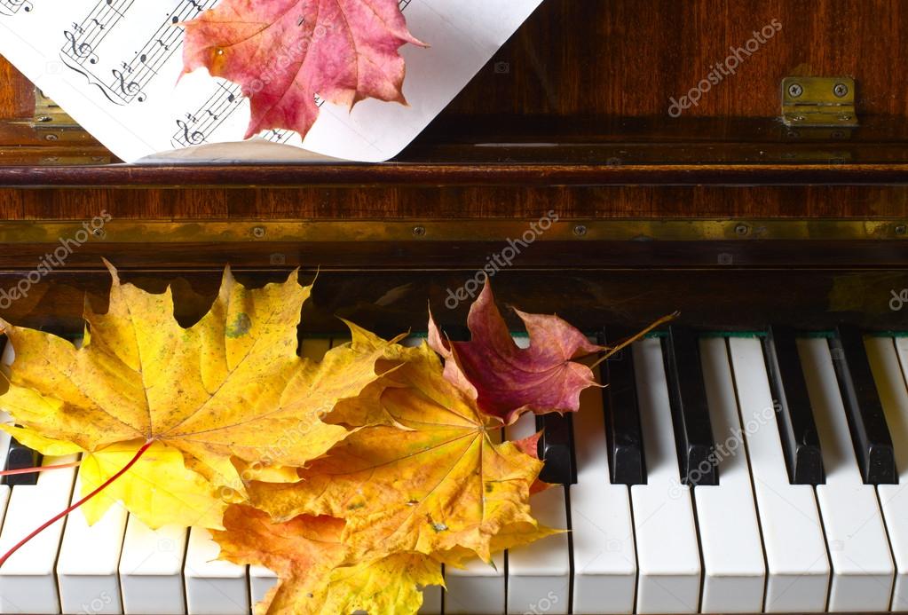 maple leaves on a piano