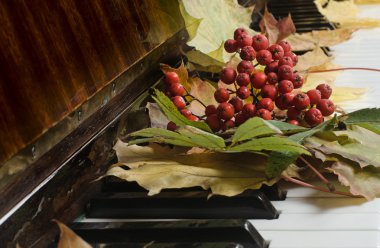 akçaağaç yaprakları bir piyanoda