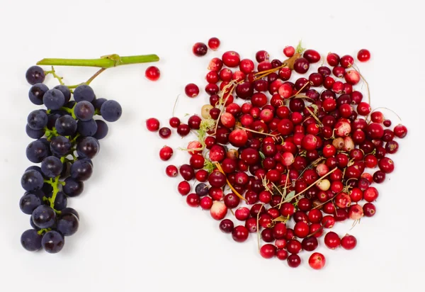 Uvas e arando — Fotografia de Stock