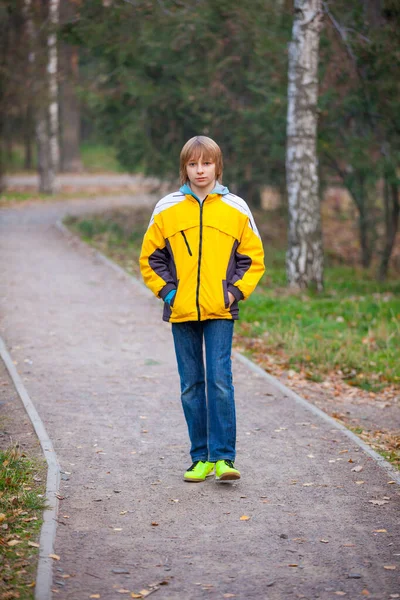 Portret Gelukkige Jongen Herfst Park — Stockfoto