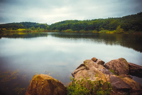 Picture Scene Lake — Stock Photo, Image