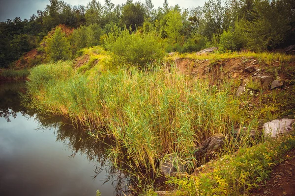 Picture Scene Lake — Stock Photo, Image