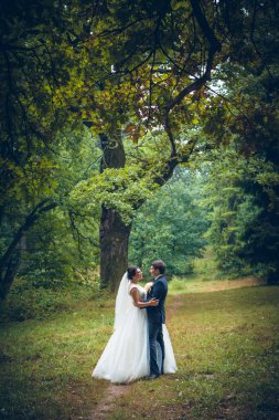 Gelin ve damadın düğün fotoğrafı.
