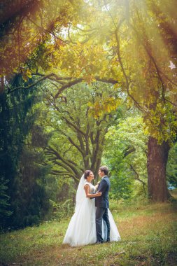 Gelin ve damadın düğün fotoğrafı.