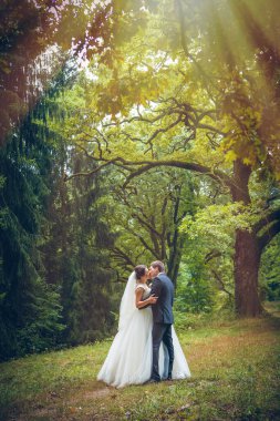 Gelin ve damadın düğün fotoğrafı.