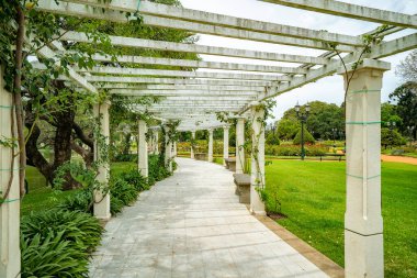Buenos Aires Arjantin 'deki Rosedal Parkı