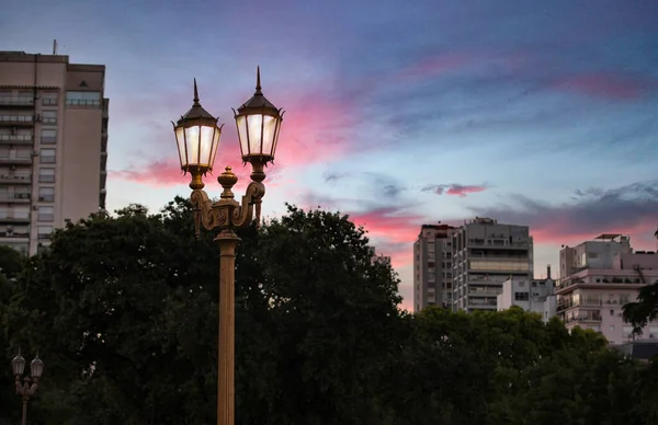 vintage street lamp in the park