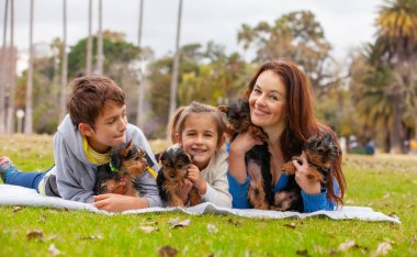 Mutlu ailenin kollarında Yorkshire Terrier köpeği