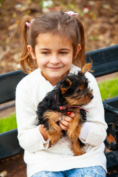 Yorkshire Terrier Köpeği Kızın Elinde — Stok fotoğraf