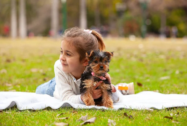 Yorkshire Terrier Szczeniak Rękach Dziewczyny — Zdjęcie stockowe