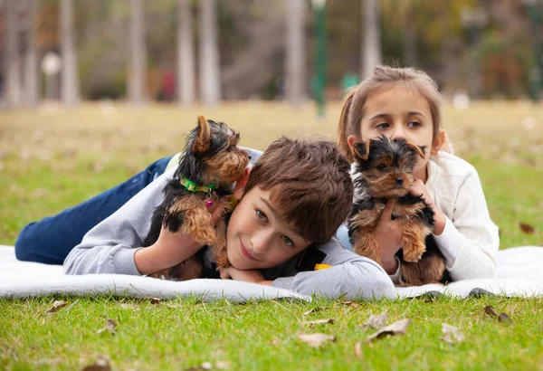Yorkshire Terrier Puppy Armen Van Gelukkige Kinderen — Stockfoto