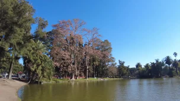 Lago Centro Del Parque — Vídeos de Stock