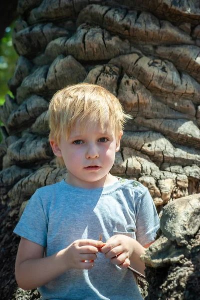 公园里棕榈树旁的小男孩 — 图库照片